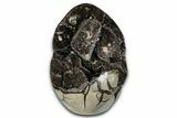 Free-Standing, Polished Septarian Geode - Black Crystals #339401-1